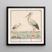Cigogne Ciconia ciconia - Anselmus Botius de Boodt — indrammet kunstværk på væggen