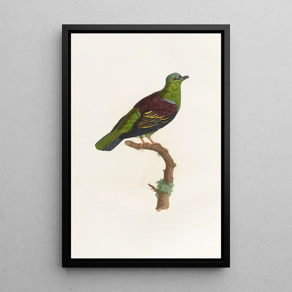 Reproduktion af maleriet Les pigeons Pl05 - Coenraad Jacob Temminck