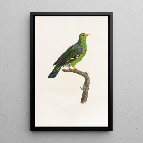 Reproduktion af maleriet Les pigeons Pl07 - Coenraad Jacob Temminck