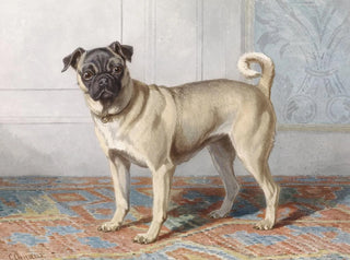 Conradijn Cunaeus - Portrait of Edwin vom Raths Pug.webp