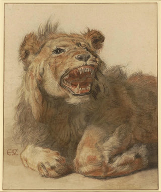 Cornelis Saftleven - A Lion Snarling.webp