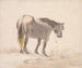 et ridende hesteportræt på en forhøjning - Cornelis Saftleven — visning af kunstværket