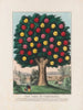 L'Arbre de tempérance - Currier Ives — visning af kunstværket