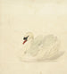 Cygne tuberculé - Aert Schouman — visning af kunstværket
