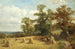 Et majsmark i West Malvern - David Bates — visning af kunstværket