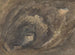 Indendørs af hulen - David Cox — visning af kunstværket