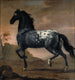 La vie de Charles XI au Tigre - David Klöcker Ehrenstrahl — visning af kunstværket