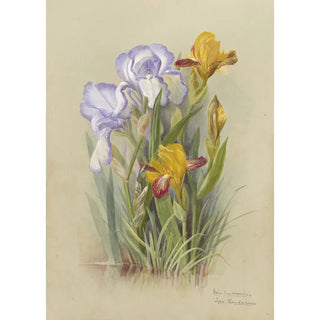 Deborah Griscom Passmore - Deborah Griscom Passmore watercolor album Pl03.webp