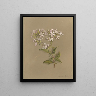 Deborah Griscom Passmore - Deborah Griscom Passmore watercolor album Pl04.webp