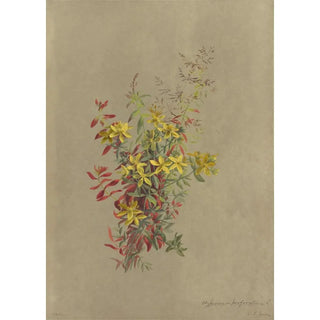 Deborah Griscom Passmore - Deborah Griscom Passmore watercolor album Pl26.webp