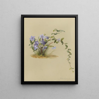 Deborah Griscom Passmore - Deborah Griscom Passmore watercolor album Pl32.webp