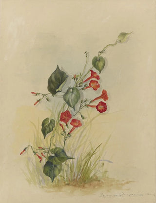 Deborah Griscom Passmore - Deborah Griscom Passmore watercolor album Pl34.webp