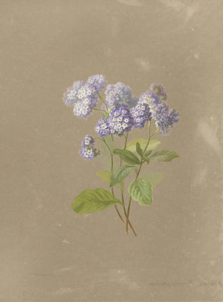 Deborah Griscom Passmore - Deborah Griscom Passmore watercolor album Pl36.webp