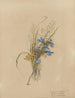 Album akvarel af Deborah Griscom Passmore Pl37 - Deborah Griscom Passmore — visning af kunstværket