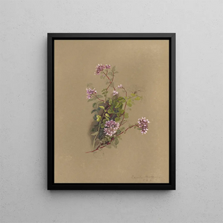 Deborah Griscom Passmore - Deborah Griscom Passmore watercolor album Pl39.webp