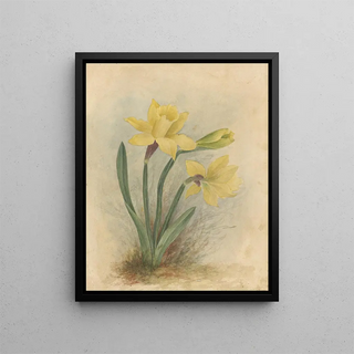 Deborah Griscom Passmore - Deborah Griscom Passmore watercolor album Pl64.webp