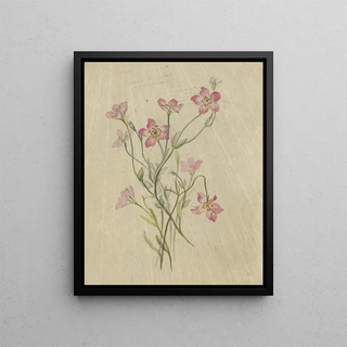 Deborah Griscom Passmore - Deborah Griscom Passmore watercolor album Pl67.webp