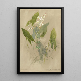 Deborah Griscom Passmore - Deborah Griscom Passmore watercolor album Pl77.webp