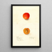 Reproduktion af maleriet Prunus domestica Golden Queen - Deborah Griscom Passmore