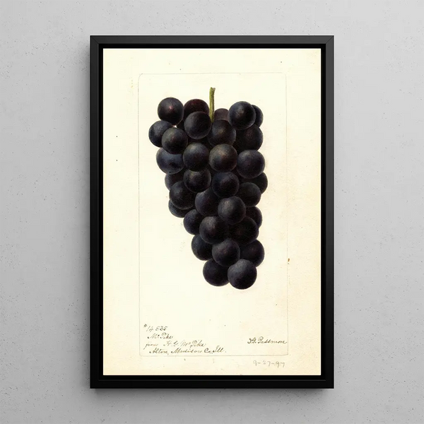 Reproduktion af maleriet Vitis McPike - Deborah Griscom Passmore