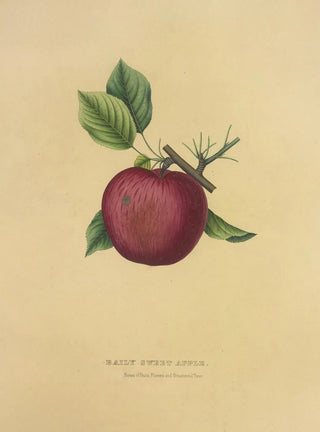 Dellon Marcus Dewey - Baily Sweet Apple.webp