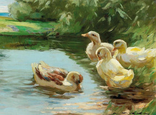 Canards dans l'eau - Demeter Koko — visning af kunstværket