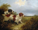 To terriere - Edward Armfield — visning af kunstværket