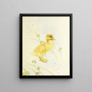 Edward Julius Detmold - The Duckling.webp