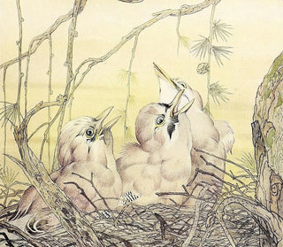 Le Geai - Edward Julius Detmold — visning af kunstværket