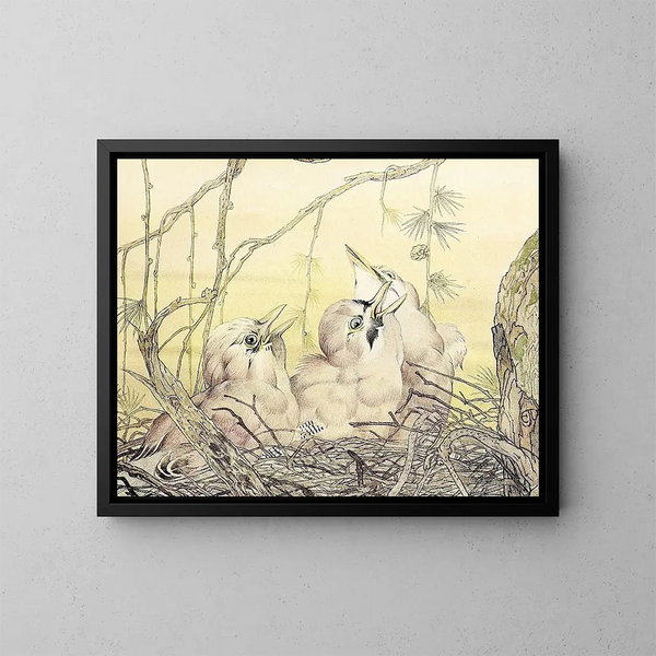 Le Geai - Edward Julius Detmold — indrammet kunstværk på væggen