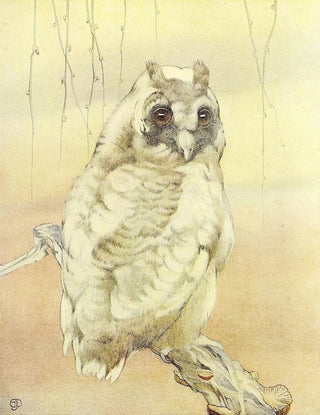 Edward Julius Detmold - The LongEared Owl.webp