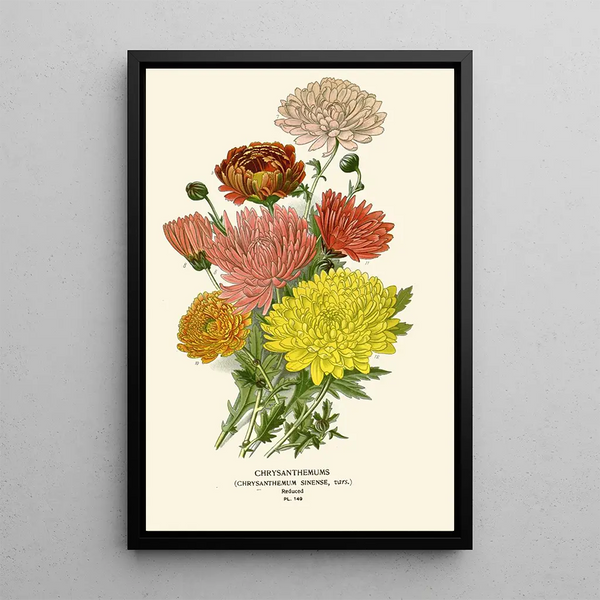 Reproduktion af maleriet Chrysanthème de Kina - Edward Step