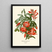 Reproduktion af maleriet Epiphyllum truncatum - Edward Step