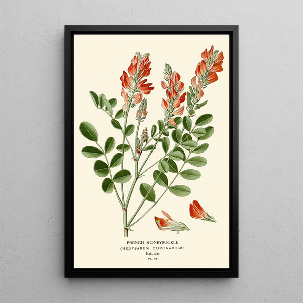 Reproduktion af maleriet Sainfoin - Edward Step