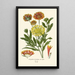 Reproduktion af maleriet Elegant Gaillarde-maleri - Edward Step