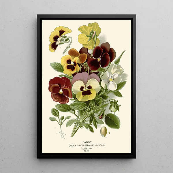 Pensée - Edward Step — indrammet kunstværk på væggen