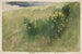 Landskabsmaleri med vilde blomster - Edwin Austin Abbey — visning af kunstværket