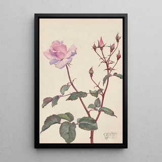 Eleanor FortescueBrickdale - Lady Pirrie Rose.webp