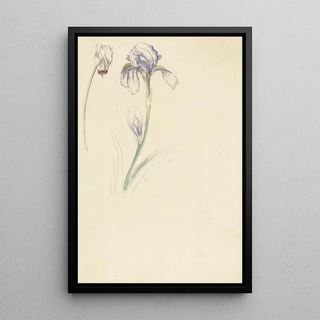 Elias van Nijmegen - Studie van iris en cyclaam.webp