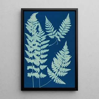 Ella J C Hurd - Ferns of Huntington Long Island Pl05.webp