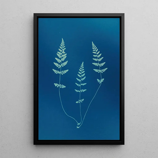 Ella J C Hurd - Ferns of Huntington Long Island Pl09.webp