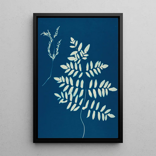 Ella J C Hurd - Ferns of Huntington Long Island Pl10.webp