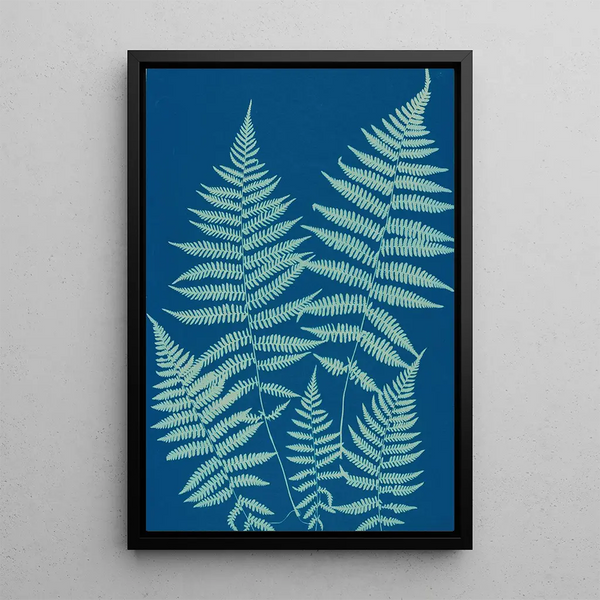 Ella J C Hurd - Ferns of Huntington Long Island Pl18.webp