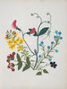 W Album af blomster i papirklipning pl. 01 - Ellen W. — visning af kunstværket