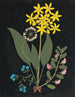 W Album af blomster i papirklipning pl. 04 - Ellen W. — visning af kunstværket