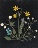 Album de fleurs en papier découpé pl. 06 - Ellen W. — visning af kunstværket