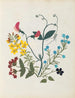 W Album af papirklip blomster maleri pl. 09 - Ellen W. — visning af kunstværket