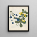 W Album af blomster i papirstansning pl. 12 - Ellen W. — indrammet kunstværk på væggen