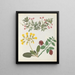 W Album af blomster i papirklipning pl. 13 - Ellen W. — indrammet kunstværk på væggen