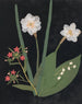 W Album af blomster i papirklipning pl. 18 - Ellen W. — visning af kunstværket